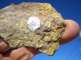 Coffinite Uranium Rock: Uravan, Colo. 0.4 Oz., 93,000 Cpm $45.00 + $12.80 S/H - £35.84 GBP