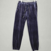 Gap Women Pants Size S Navy Stretch Joggers Velvet Trendy Vaporwear Fitt... - $15.30
