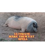 Ultimate MAKE THEM FAT Spell - Revenge Spell - Same Day Casting - Person... - $130.00