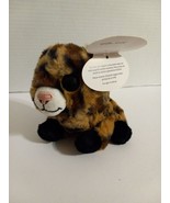 Wishpets Helen 53721 Cat 2021 Plush Stuffed Animal With Tag - $12.38