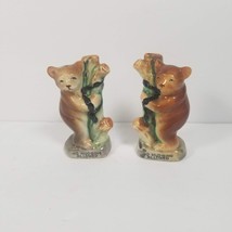 Vintage Salt Pepper Shakers Bears, No Hugging Allowed, Tree Trunk Bear - £16.17 GBP