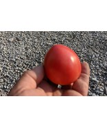 SEED-TOMATO Grightmire&#39;s Pride Heirloom  Low Acid, Meaty yet Juicy - $73.58 MXN+