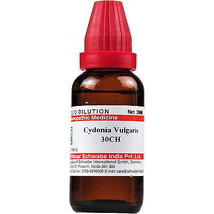 Willmar Schwabe India Cydonia Vulgaris 30 Ch Homeopathic Remedy - £12.65 GBP