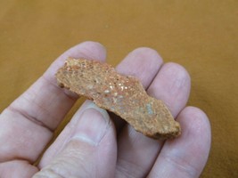 DF300-34) small Fossil REAL DINOSAUR Bone Slice Jurassic Dino love dinos fossils - £7.46 GBP