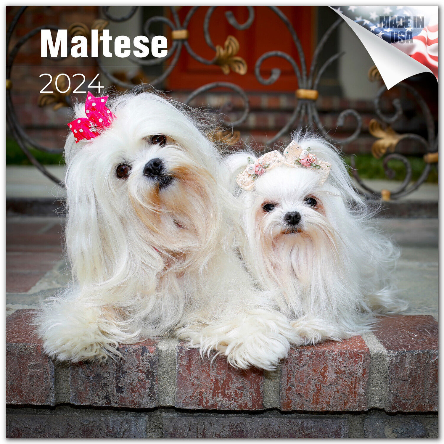 Primary image for MALTESE Wall Calendar 2024  DOG Lover Pet Lover Gift