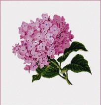 Pepita Needlepoint kit: Hydrangea Pair, 17&quot; x 18&quot; - £61.98 GBP+