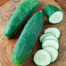 SL 25 Seeds American Slicing Cucumber Planting Edible Food Easy To Grow ... - £2.57 GBP