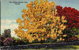 The Golden Shower Tree Florida Vintage Postcard (A9) - £5.31 GBP
