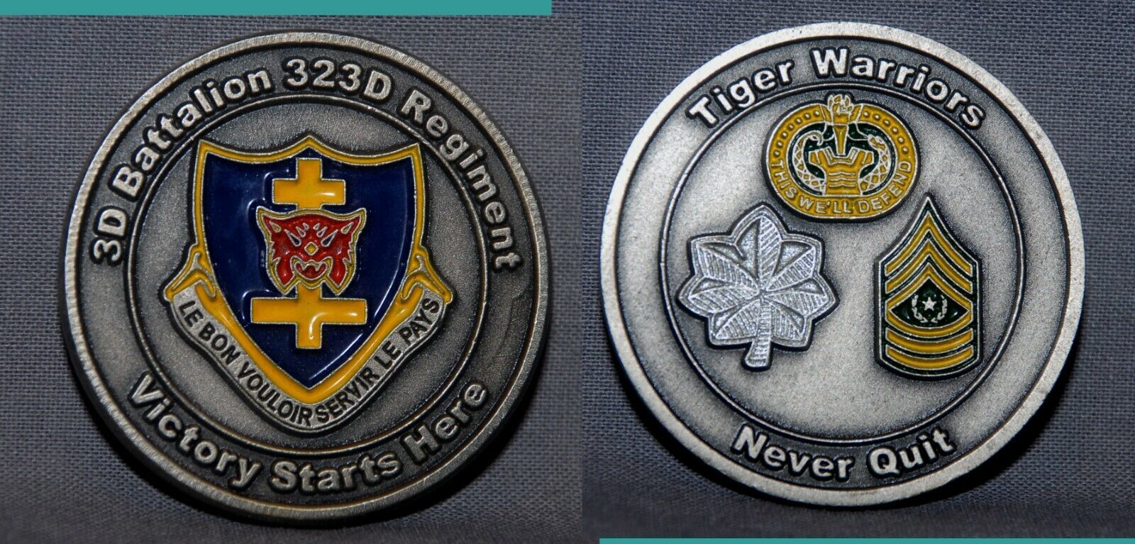 3rd Battalion 323rd Regiment TIGER WARRIORS challenge coin - $14.84