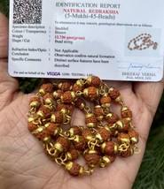 Antik Messing + LABOR ZERTIFIZIERT Natur 5 Mukhi RUDRAKSHA Mala ROSENKRA... - €22,43 EUR
