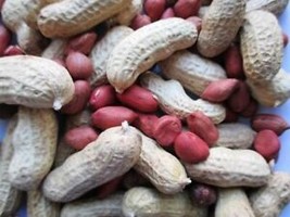 SEPTH Peanuts, Tennessee Red - Heirloom Seeds - Valencia -  25 Seeds Non Gmo (Ar - £3.80 GBP