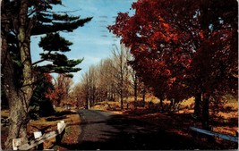 Magnificent Autumn Phillips Wisconsin Postcard PC82 - £3.92 GBP