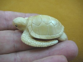 (tb-turt-55) Sea Turtle TAGUA NUT palm figurine Bali carving coral reef turtles - £30.82 GBP