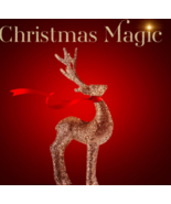 DEC 24  CHRISTMAS EVE 175 WITCHES 1000x EVERGREEN PROTECTION MAGICK Witch  - $279.77