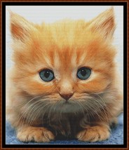 Ginger Kitten ~~ counted cross stitch pattern PDF - $19.95