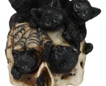 Witchcraft Black Kitten Cats Perching On Arachnid Spider Web Skull Figurine - $23.99