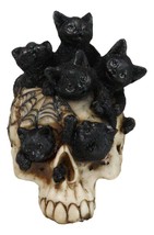 Witchcraft Black Kitten Cats Perching On Arachnid Spider Web Skull Figurine - $23.99