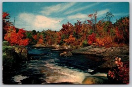 Vintage Cold river along Mohawk Trail Western Massachusetts Postcard fall autumn - £3.94 GBP