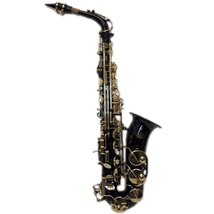 Sky E Flat Lacquer Alto Saxophone with F# Key, Case and 10 Reeds, Black - £231.87 GBP+