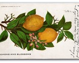 Lemons and Blossoms DB Embossed UDB Postcard Z5 - $3.91