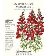 Night And Day Snapdragon Seeds 100 Mg Garden Fresh USA Shipping - $14.98