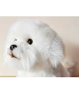Bichon Frise 12&quot; plushie gift wrapped, or not with or without engraved tag  - £31.50 GBP+