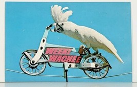 Florida Weeki Wachee &quot;Duster&quot; Rides Again  Postcard J11 - £4.44 GBP