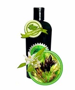 SONGS OF THE ORIENT Massage Oil - 8oz - $39.19