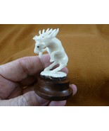TB-MOO-10) white Moose elk buck rearing tagua nut figurine Bali detailed... - $892.94 MXN