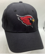 VINTAGE Arizona Cardinals Hat Cap Black Embroidered NFL Football The Game - $13.51