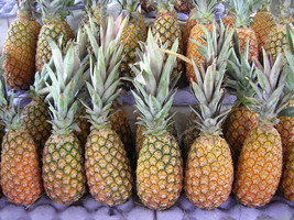 15+ Abacaxi Pineapple Seeds For Garden Planting - USA - ! - £5.06 GBP