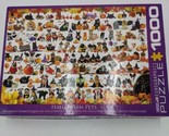 EuroGraphics 5416 Halloween Pets Puzzle 1000 Piece - $19.79