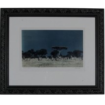 Zebras, Tanzania by John Wolf Signed Framed Photograph 24 x 20 - $148.50