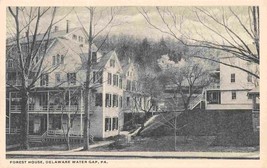 Forest House Delaware Water Gap Pennsylvania 1920s postcard - $6.93