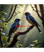 Digital Image Picture Photo Wallpaper Background Desktop Art Paradise Birds - $0.97