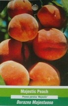 Majestic Peach 4-6 Ft Tree Plant Sweet Juicy Peaches Fruit Trees Plants Orchards - £113.08 GBP