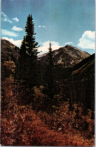 Torries Peak Near Georgetown Colorado Colorado Postcard - £5.51 GBP