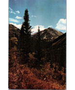Torries Peak Near Georgetown Colorado Colorado Postcard - £5.37 GBP