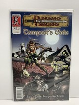 Dungeons and Dragons: Tempest&#39;s Gate #2 - 2002 Kenzer and Company Comics - £3.94 GBP