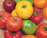Rainbow Beefsteak Mix Tomato Vegetable Fresh Gardening - $16.52