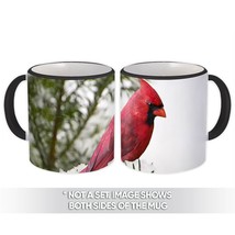 Cardinal : Gift Mug Bird Nature Animal Watching Winter Christmas - £12.57 GBP