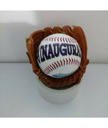 Baseball and Mini Mitt Tampa Bay Devil Rays 1998 Inaugural Season Rare - €37,08 EUR