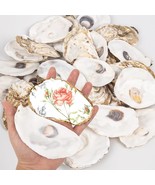 QICQDRAM 20PCS Flat Oyster Shells 4&quot; 5&quot; Large Oyster Shells for Crafts N... - $67.19 CAD