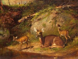 Giclee  Art Wall Decor fallow deer family  Picture Printed Canvas Painting - £6.82 GBP+