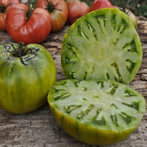 FRESH Carolina Cross Watermelon 5 Seeds | 1046 - £3.76 GBP