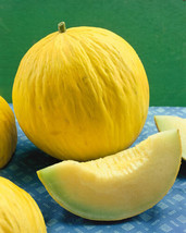 Variety Size Packets Casaba Melon Golden Beauty NON-GMO Muskmelon - £9.33 GBP+