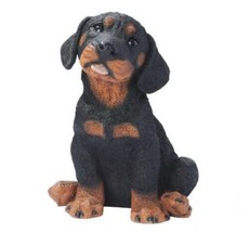 9” Tall Rottweiler Puppy Dog Statue (dt) M13 - £155.94 GBP