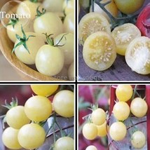 Heirloom White Cherry Tomato Organic Fresh Fruit Vegetables, 100 Seeds, deliciou - £2.78 GBP