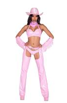 Sheriff Shine Cowgirl 6pc Cosplay Women&#39;s Halloween Costume - £81.08 GBP