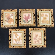 Vintage Set of 5 Mini Framed Pressed Dried Flowers Art Miniature 3&quot; Plastic - $18.79